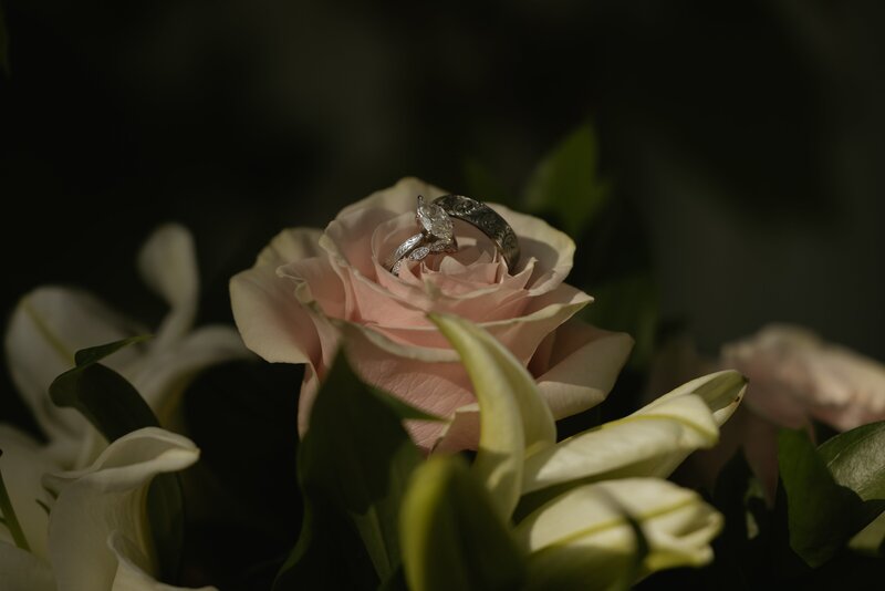 wedding ring sitting in a pink rose