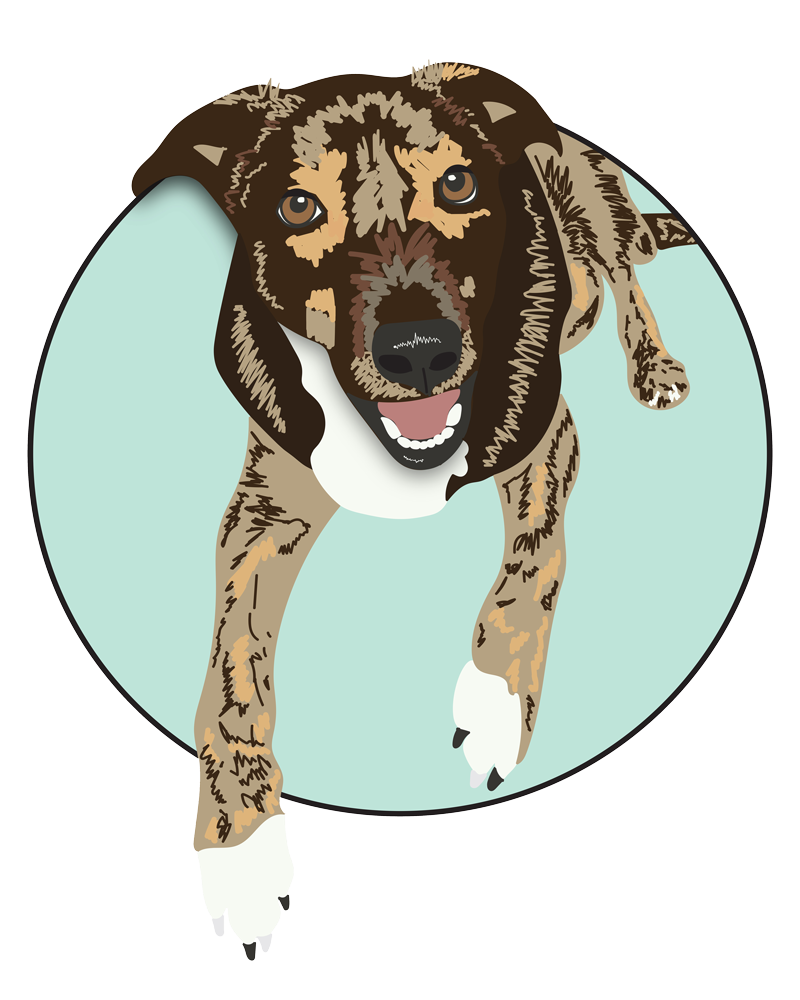 Illustration of Shepherd dog