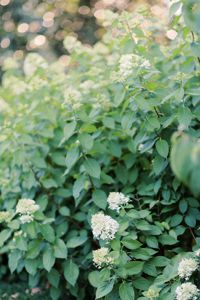 duke-mansion-engagement-session-0032