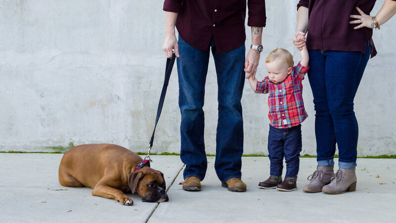 A little boy and a Rottweiler gazing at each other during a pet-friendly mini session in the Greater Philadelphia area.