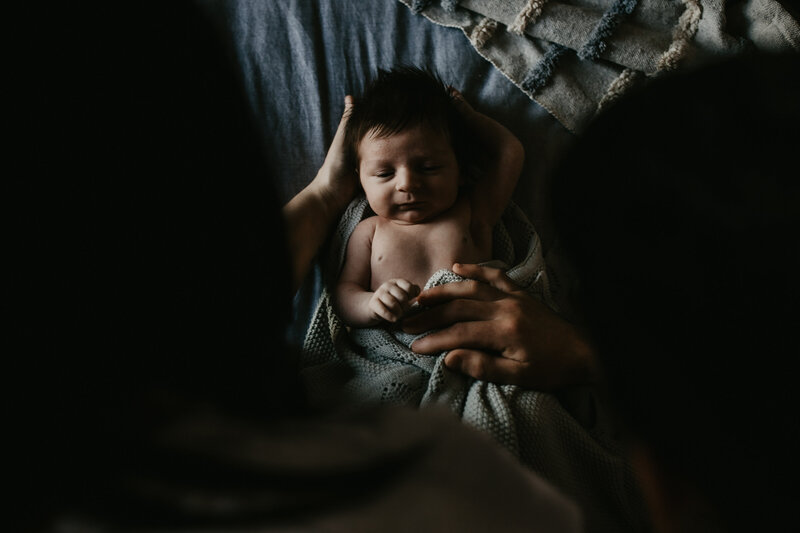 rex newborn43