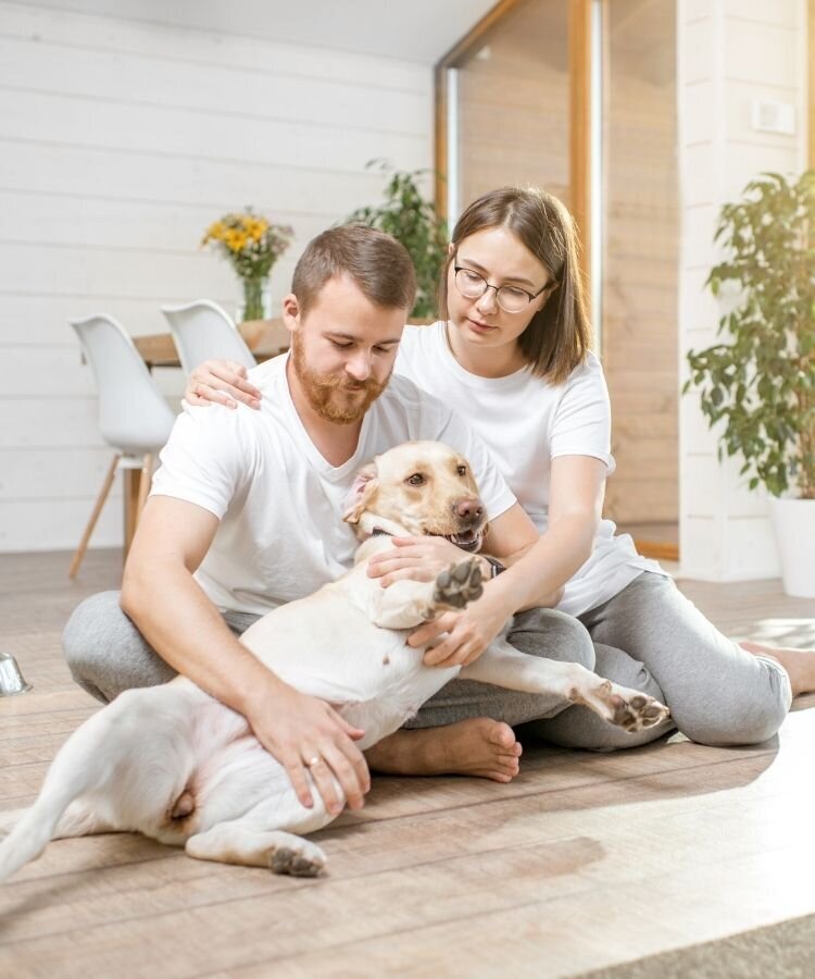 A couple sit on the floor together as they pet their labrador retriever. This could symbolize a couple improving their relationship through having shared responsibility for affair recovery in Florida. We offer support for couples who are recovering form infidelity in Florida, and want to make things better. Contact us to learn of our infidelity recovery program.