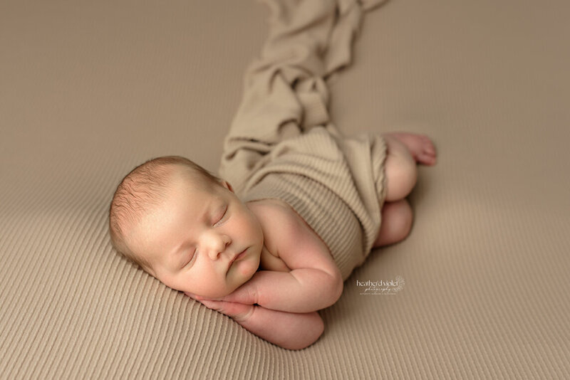 best newborn photographer near me, newborn portrait studio lafayette indiana