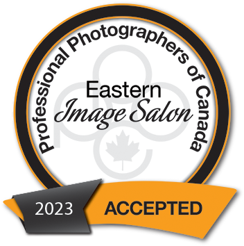 Award-winning photographer Denise Husak recognized in the PPOC Eastern Image Salon 2023 for outstanding newborn photography.