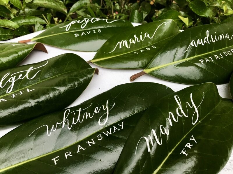 leaves
