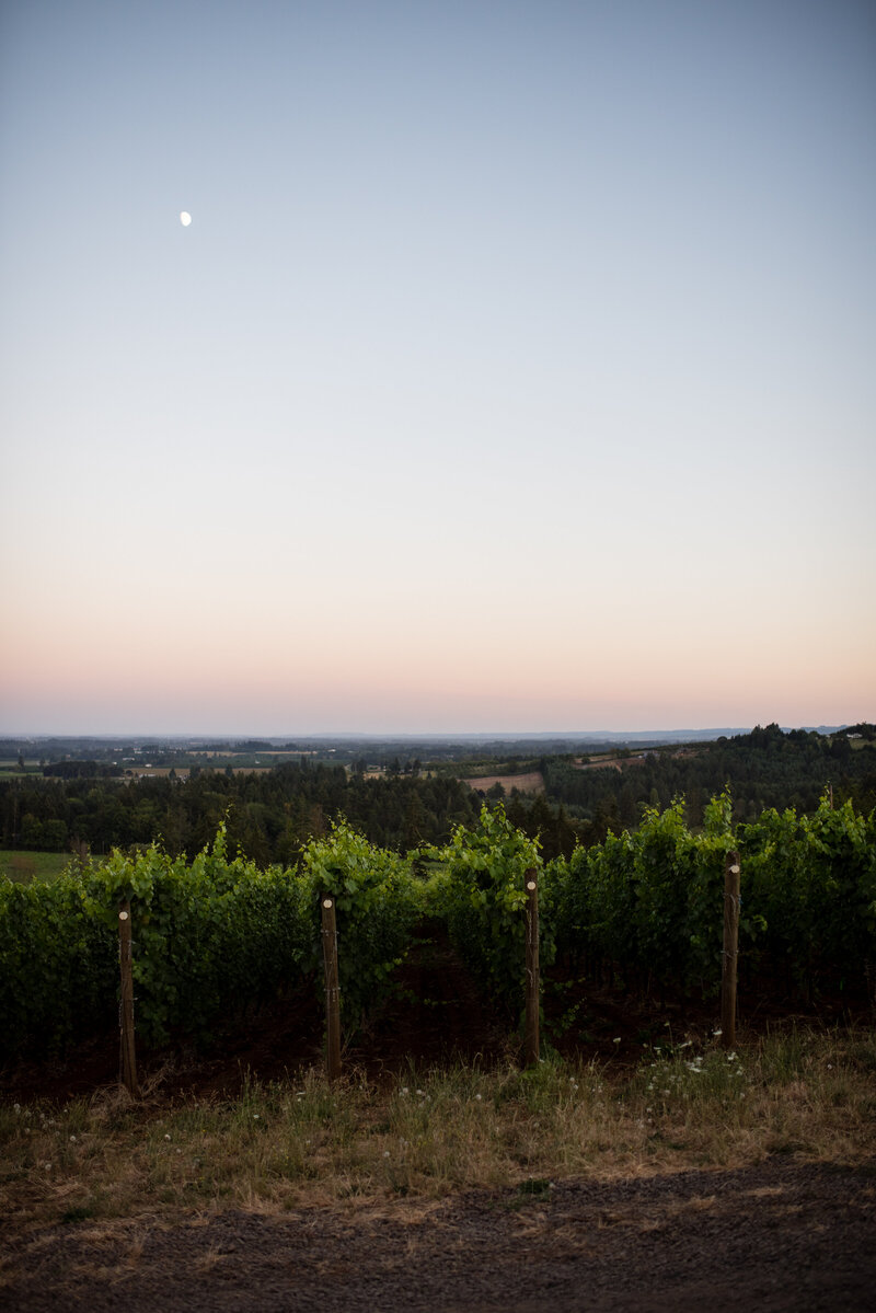 TSS - Domaine Roy-199