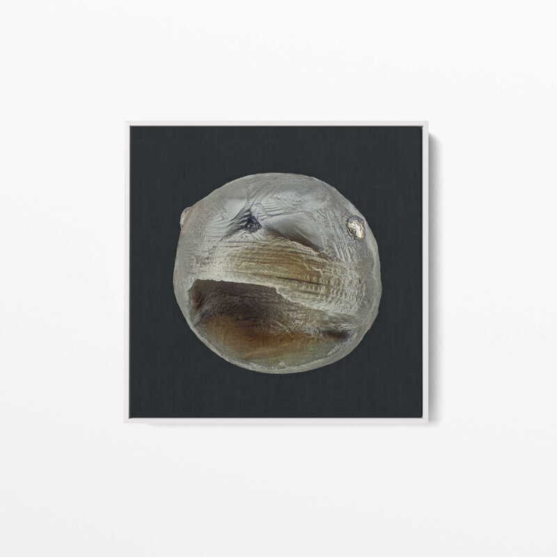 Fine Art Canvas with a white frame featuring Project Stardust micrometeorite NMM 2365 collected and photographed by Jon Larsen and Jan Braly Kihle