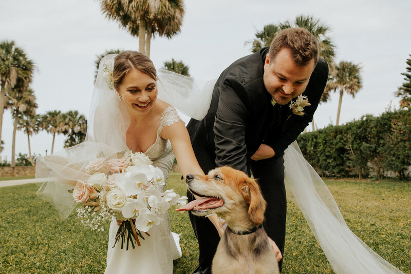 Pet care for wedding