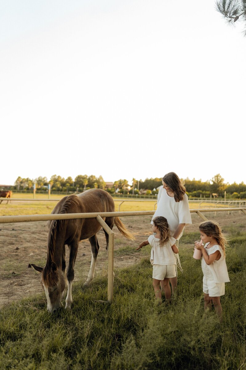 pexels-seljansalim-33769421