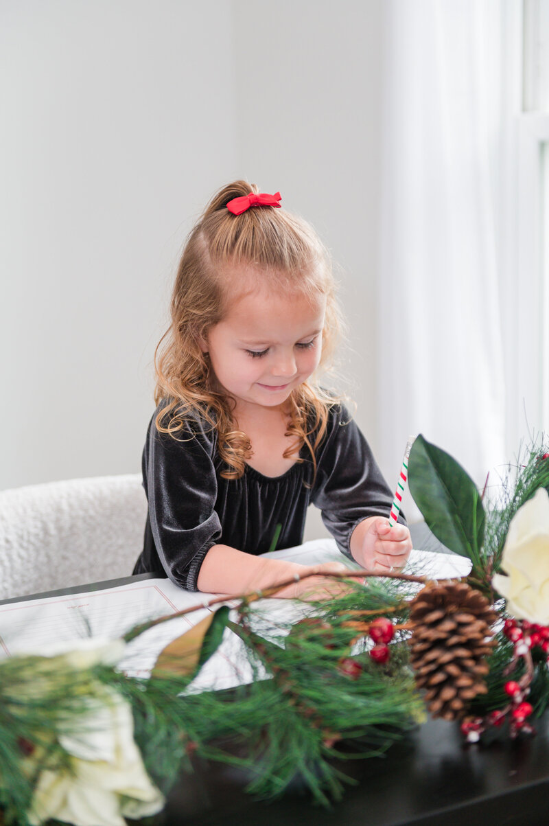 Hershey Pa Christmas Letters To Santa Minis-16