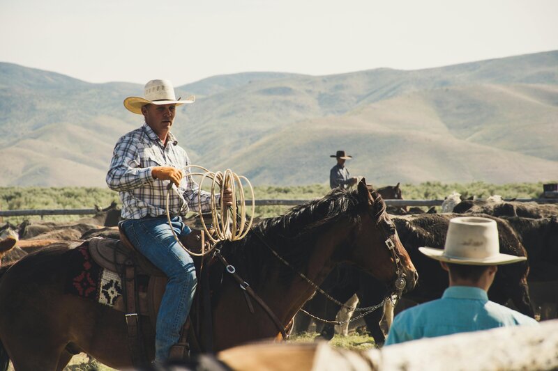 pexels-brett-sayles-1069714
