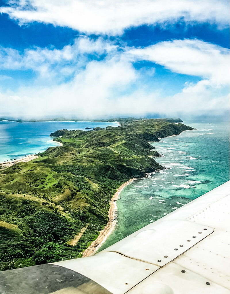 close up of a cheetah eye