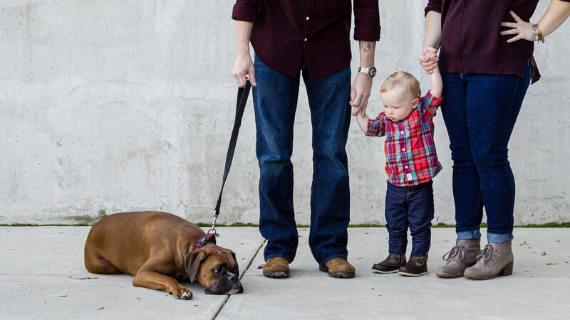 A tender moment of a toddler looking at their dog lying on the ground with a sad expression during a lifestyle session near Phoenixville.