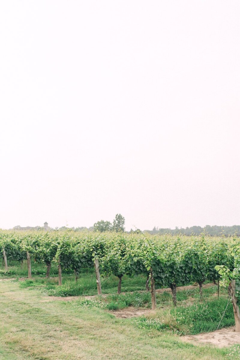 01_Kurtz-Orchard-Wedding-80