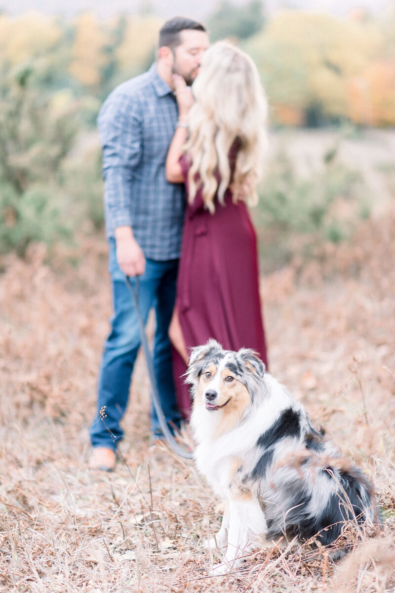 best engagement photographers in traverse city michigan