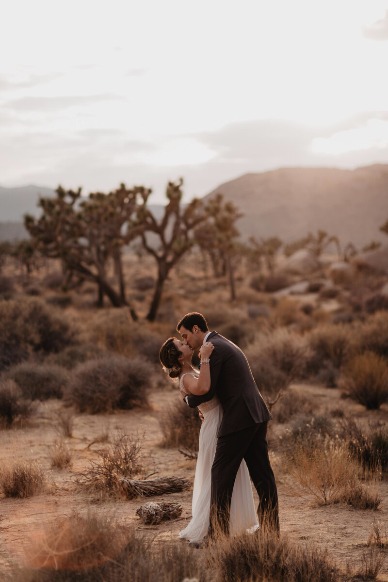 Wedding couple kissing during golden hour at their elopement in Joshua Tree National Park