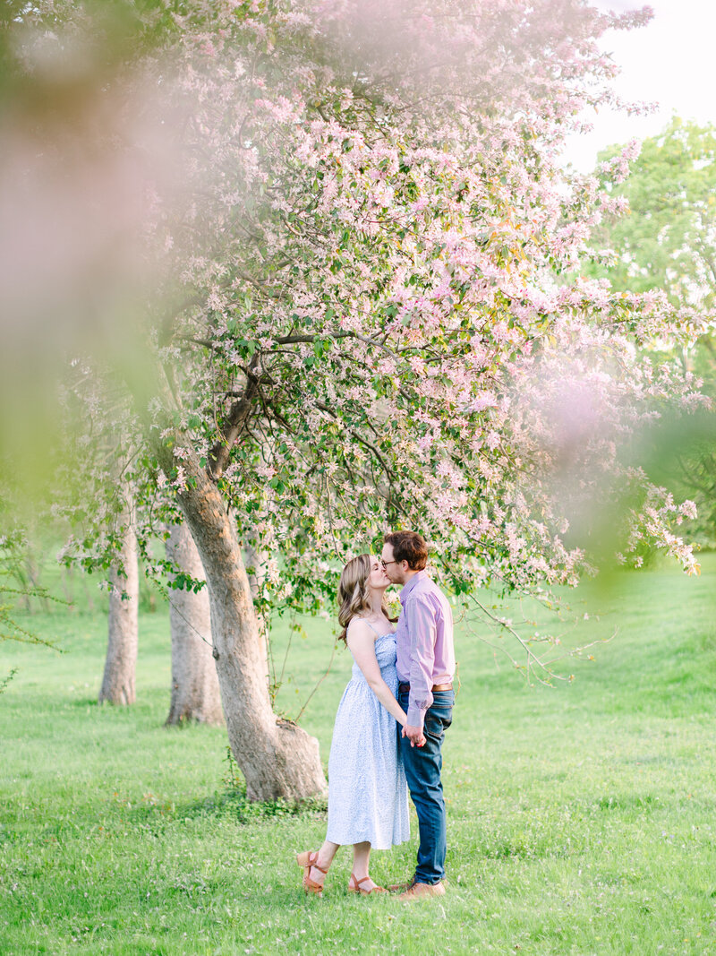 Couple holding hands and kissing under floral tree