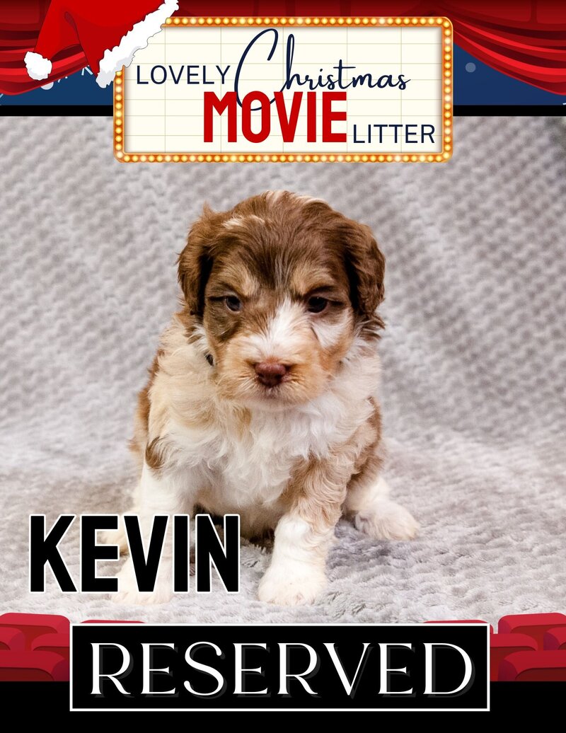 Christmas Movie - Black Kevin Male