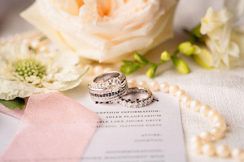 adler-planetarium-wedding-chicago (106)