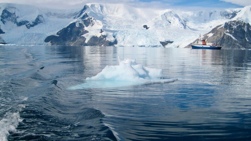Relentlessly Me Self-Fulfillment Coaching Antarctica 1
