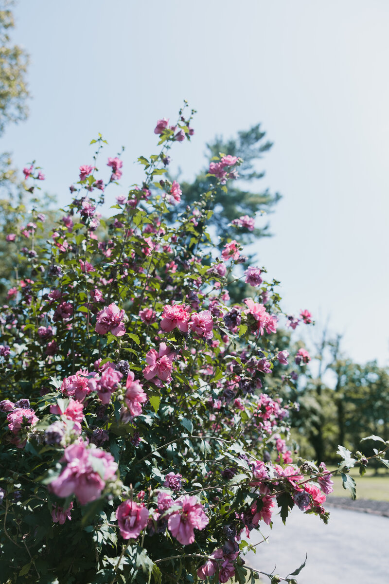 wedding, couples and senior photographer in Pennsylvania 
