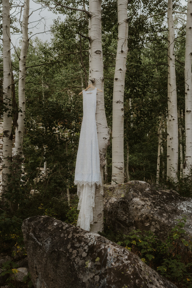 Beautiful Wedding dress in the middle of this aspen forest in the mountains of Utah