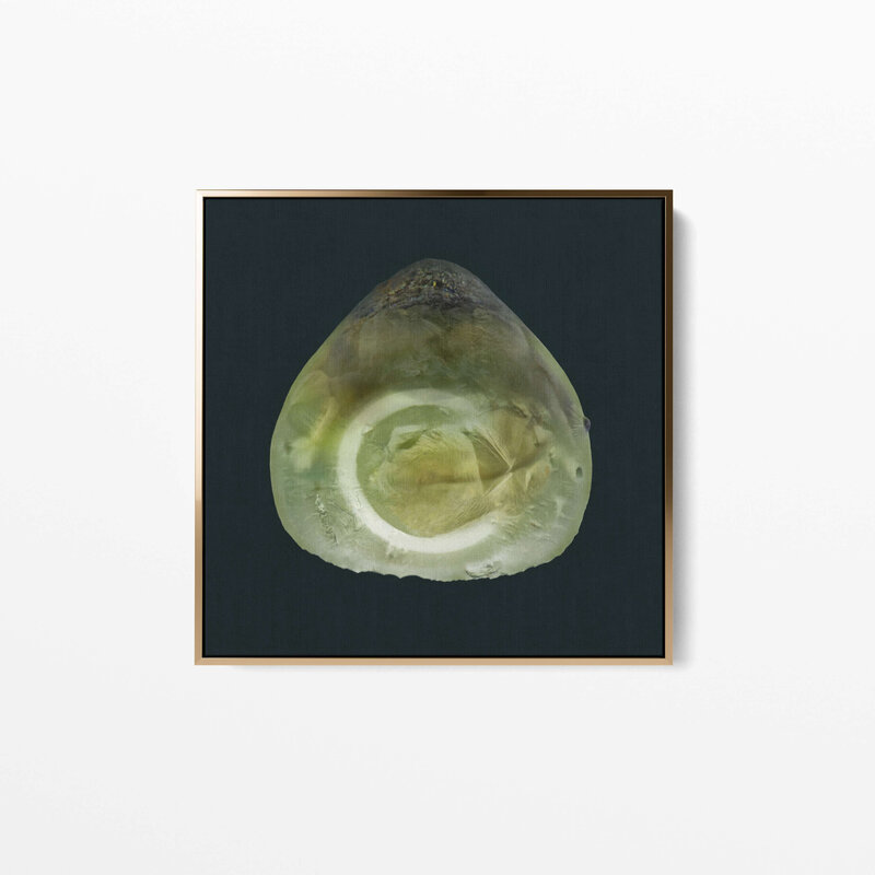 Fine Art Canvas with a gold frame featuring Project Stardust micrometeorite NMM 1448 collected and photographed by Jon Larsen and Jan Braly Kihle