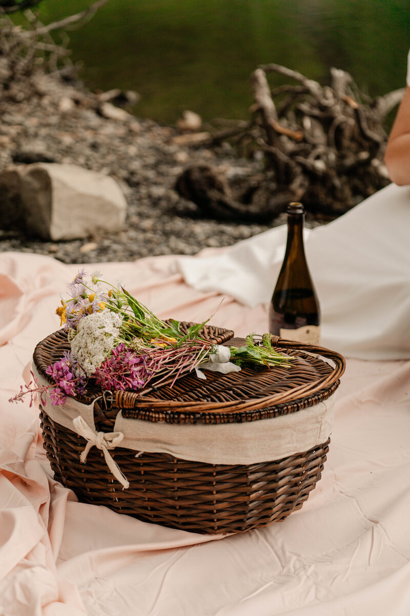 Crested_Butte_Elopement_2024-103