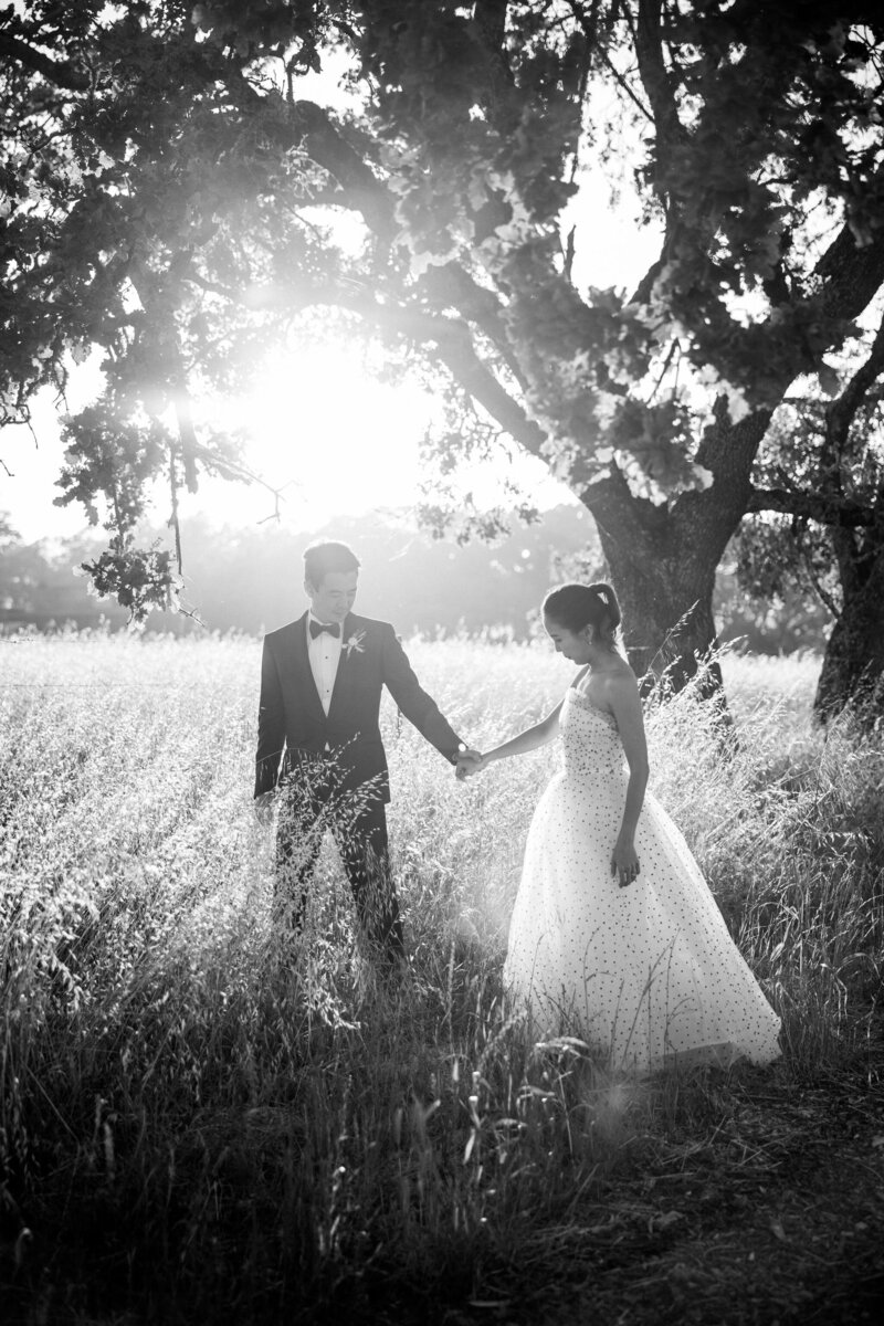 larissa-cleveland-napa-petaluma-wedding-private-estate-shannon-leahy-events-128