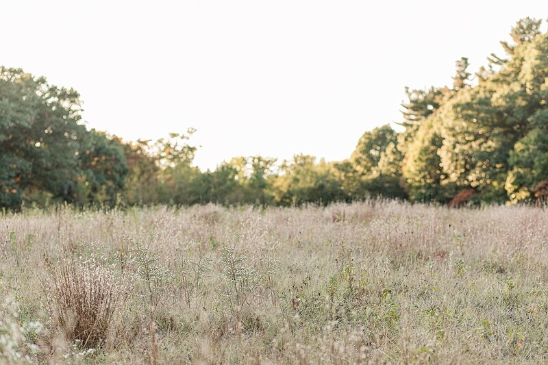 field at greenways in Wayland MA
