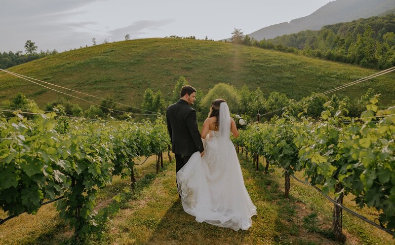 Couple walking through the vineyard after ceremony at Yonah Mountain Vineyard