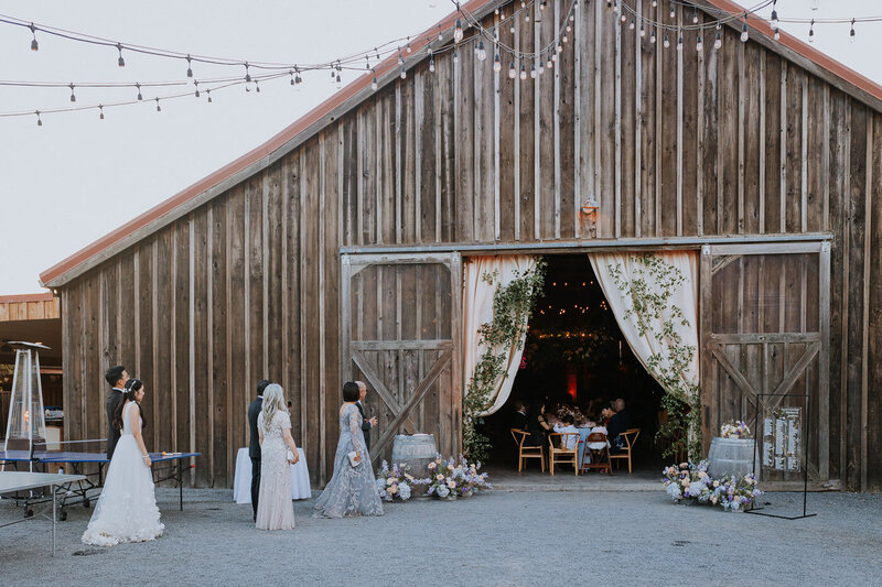 Petaluma Wedding Venue - Olympias Valley - AndrewIsa95