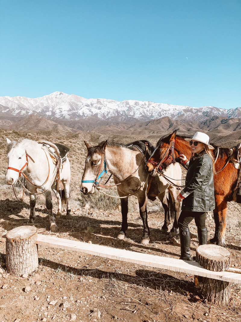Horseback+Riding+-+Mendoza,+Argentina