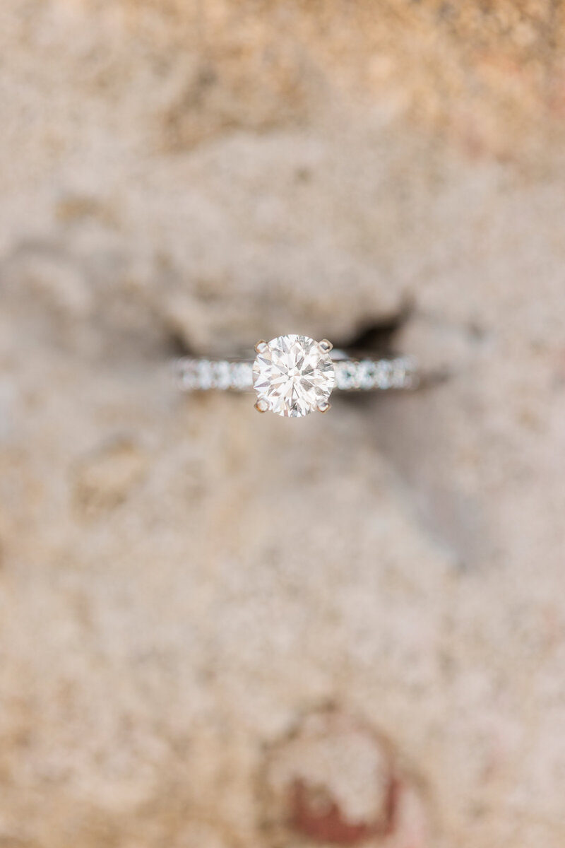 Jennifer B Photography-John and Olivia-Engagement-Weymouth Gardens, Southern Pines, NC-2020-0298