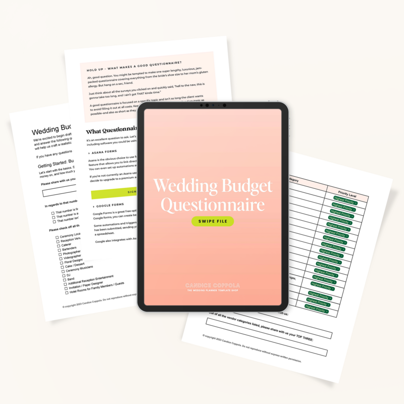 Budget Questionnaire 2