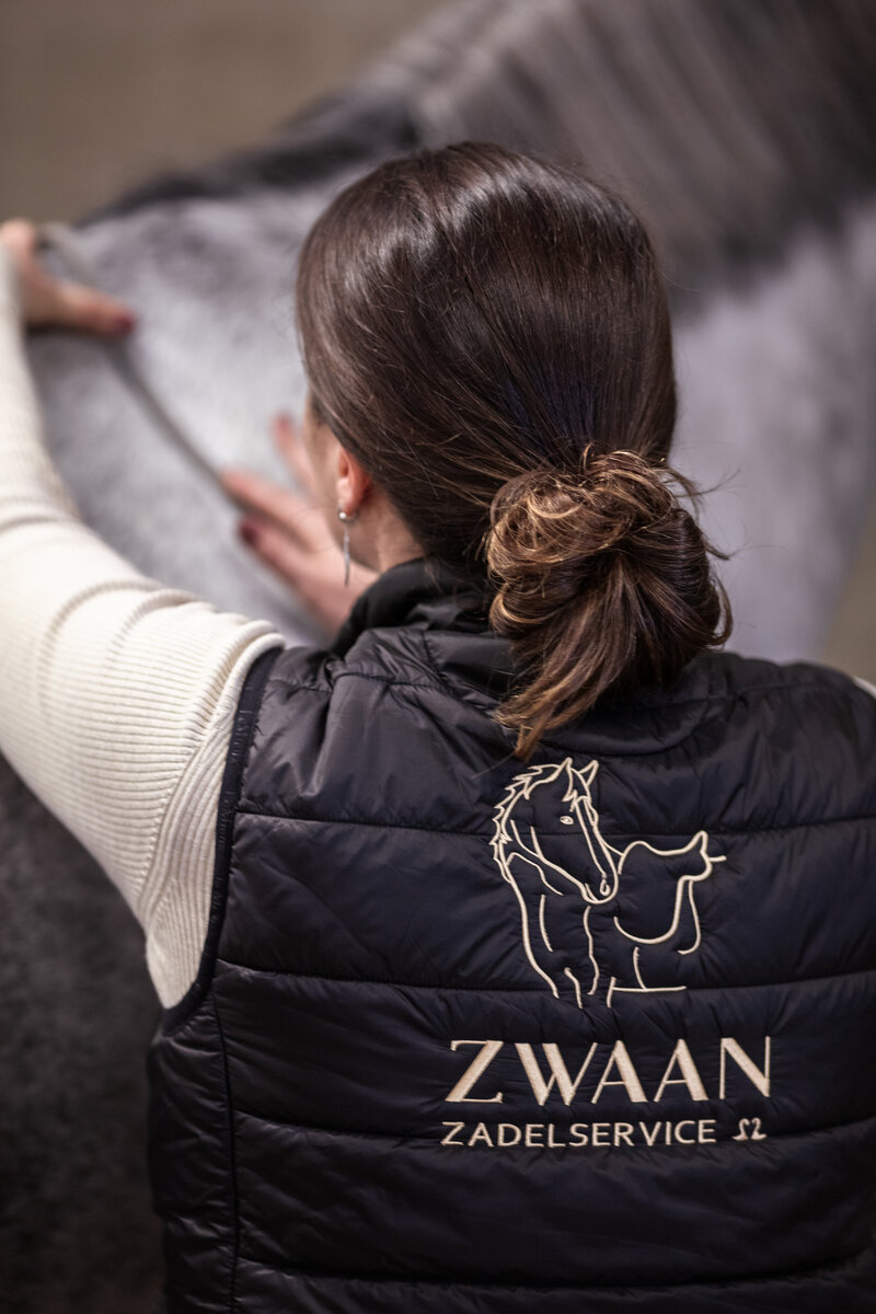 Zwaan zadelservice, zadelproblemen, duurzame ruitersport, paardenwelzijn, paard, blessures, ruiter, zadel, zadelpasconsult, palpatie, controle, nieuw zadel, zadelmerken, frank baisses saddlery, ikonic saddlery, arena saddles, wintec saddles, treeclix, LeMieux, acavallo, connect, revalidatie, veiligheidscheck zadel, bijvullen, singelstoten vervangen
