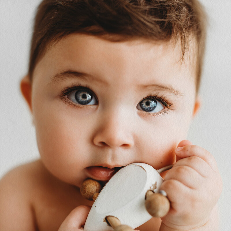 LittleWhitePhotography2