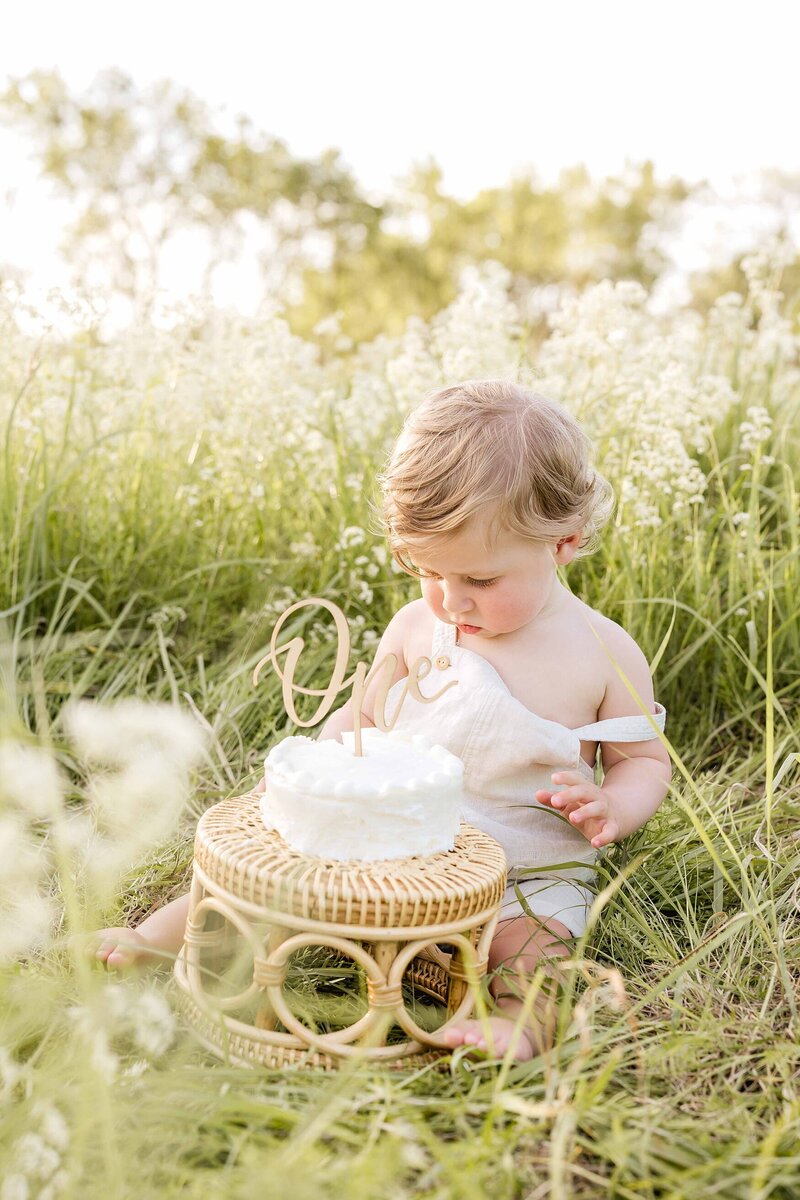one-year-old-cake-smash-photos_0002
