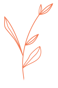 Illustration of an orange flower
