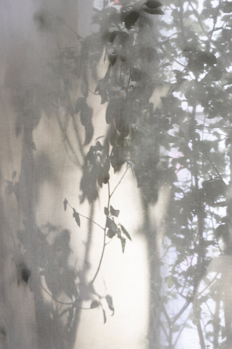 haute-stock-photography-subscription-textured-collection-final-11