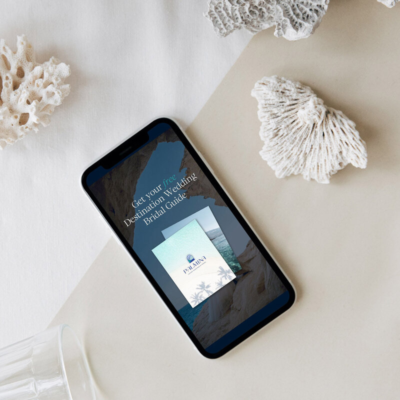 mockup of palmina instagram story template
