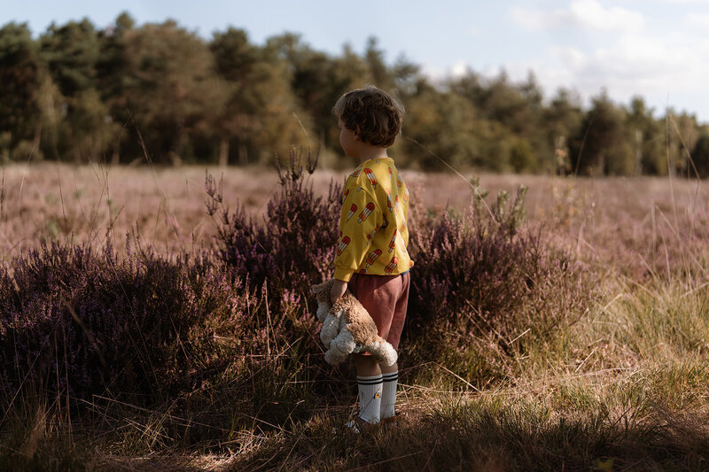 Heide fotoshoot rucphen