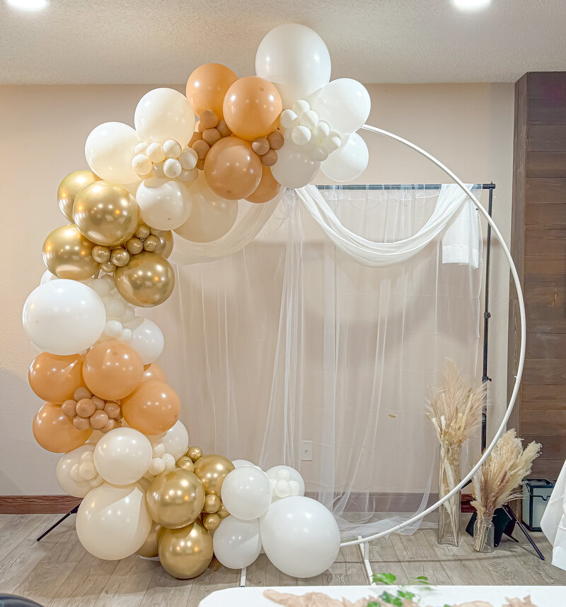 balloons-bismarck-nd-140