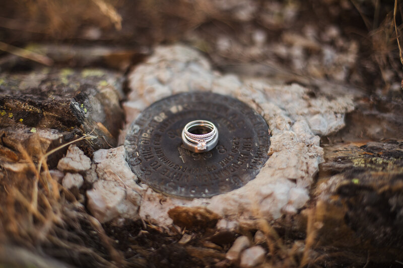 ring detail shot
