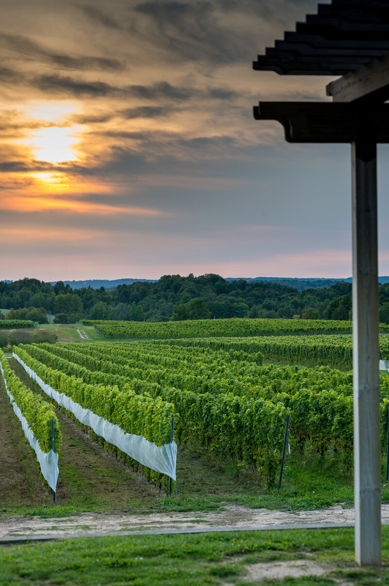 9 - Melissa + Josh  | Oden + Janelle Photographers 2021