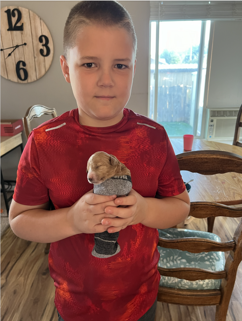 Screenshot 2024-08-27 at 12.11.23 PM