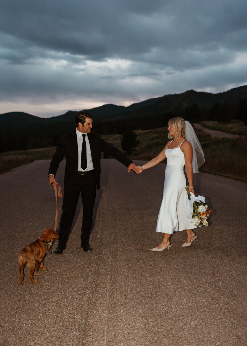 Couple eloping with mountains in the background and a golden retriever puppy at Cheyenne Mountain State Park