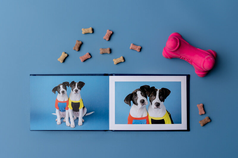frame choices at Crystal Lee Photography
