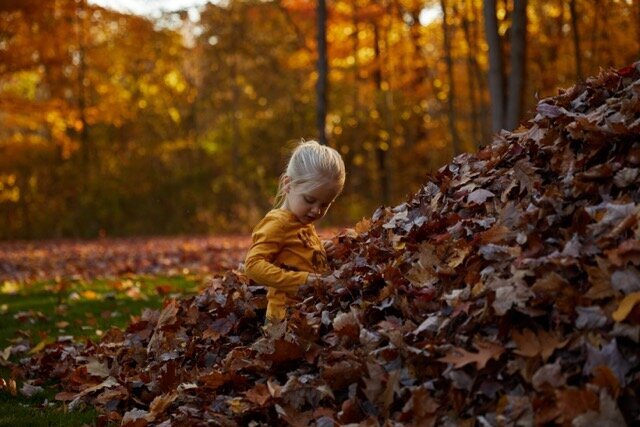LeafPile_WhiteLake_MI 5 Medium