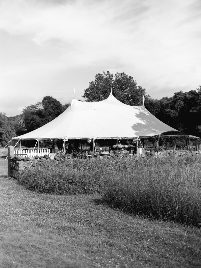 SneakPeek_EmilyKevin_Wedding_Nouvel_ (200)